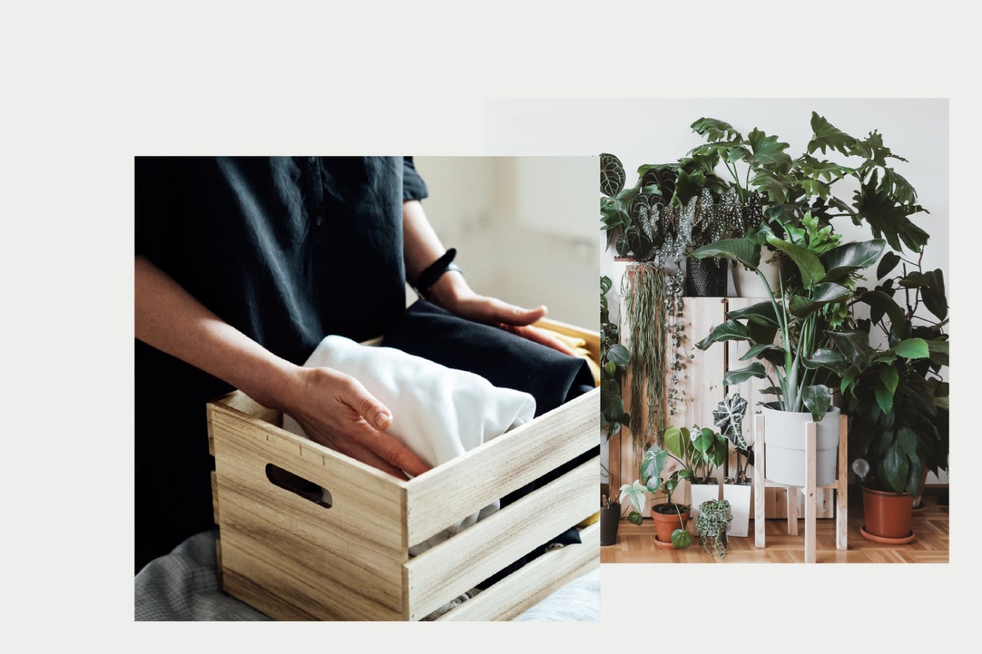 Klimafreundlich wohnen noventic group