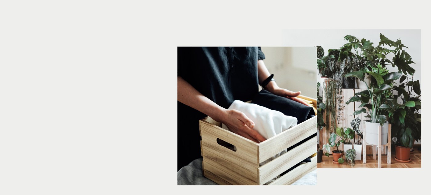 Klimafreundlich wohnen noventic group