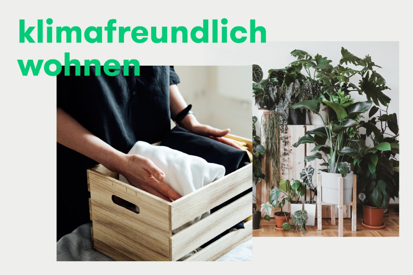 Foto klimafreundlich wohnen noventic group